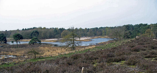 Foto: Jacq. Veltmeijer